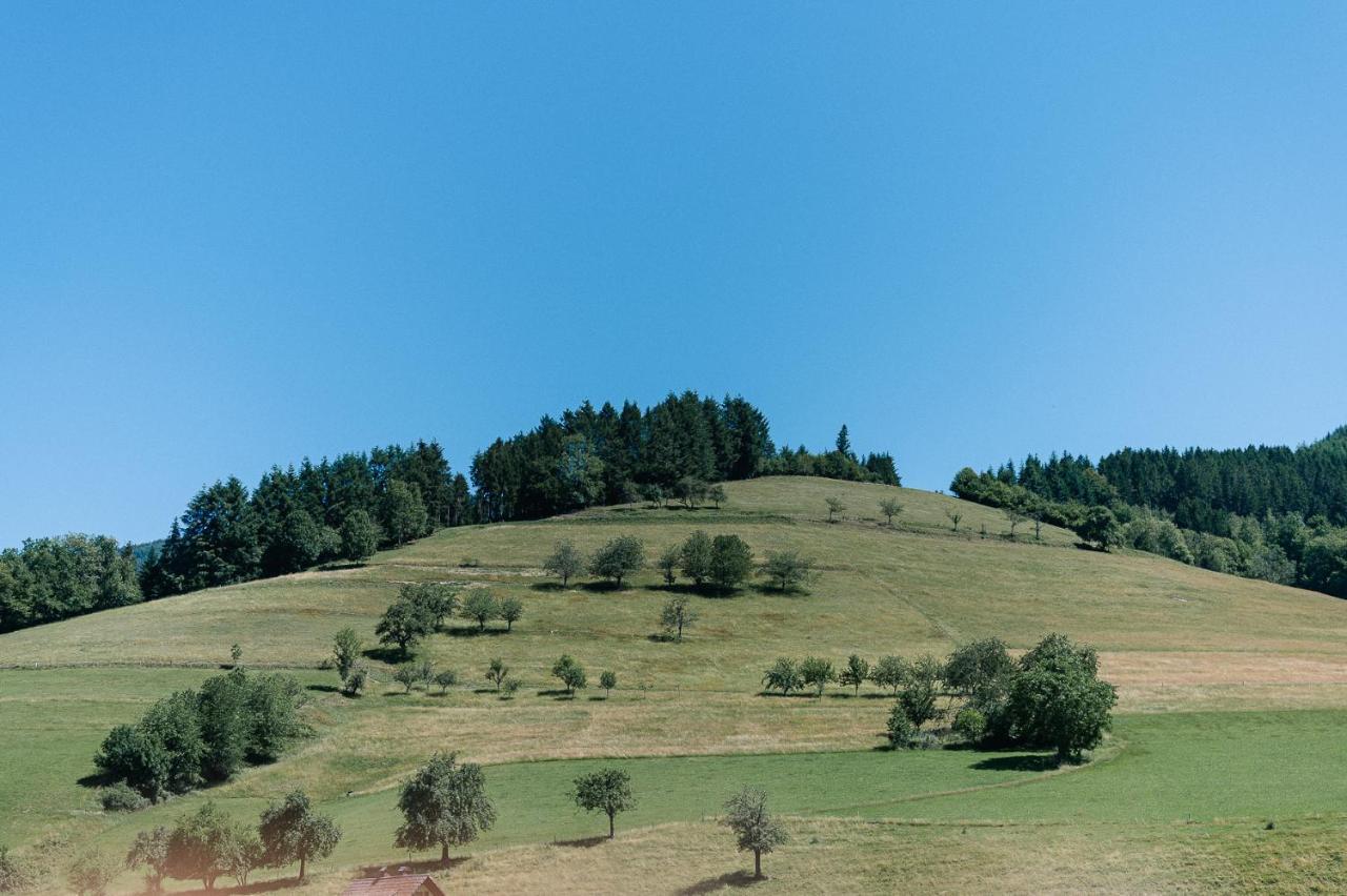 Moderne 2 Zi.-Fewo Blackforestart Naehe Freiburg Simonswald Exteriér fotografie