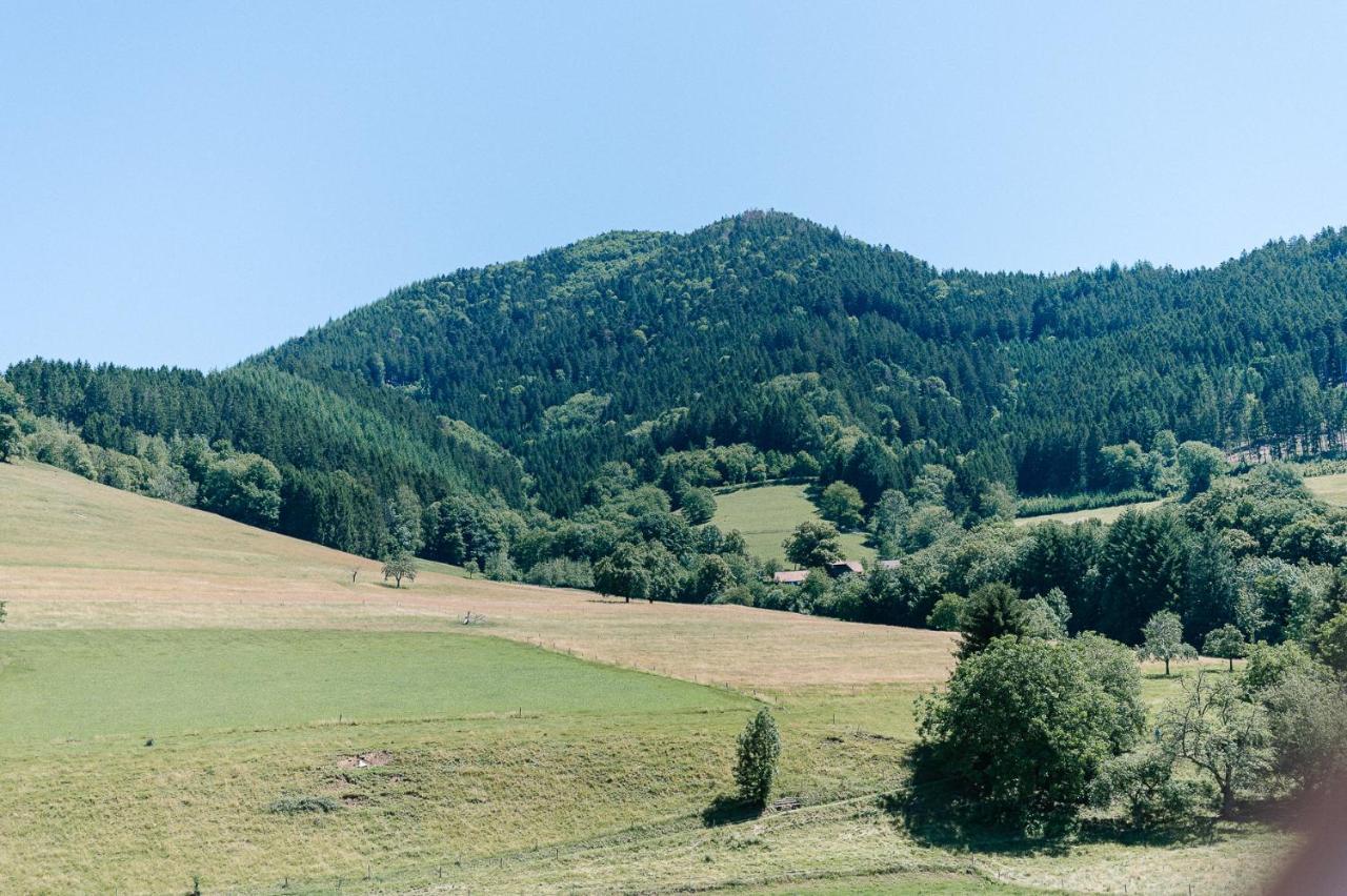 Moderne 2 Zi.-Fewo Blackforestart Naehe Freiburg Simonswald Exteriér fotografie